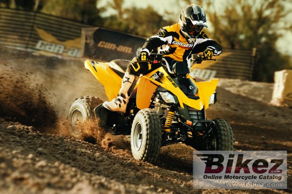 2010 Can-Am DS 250 photo